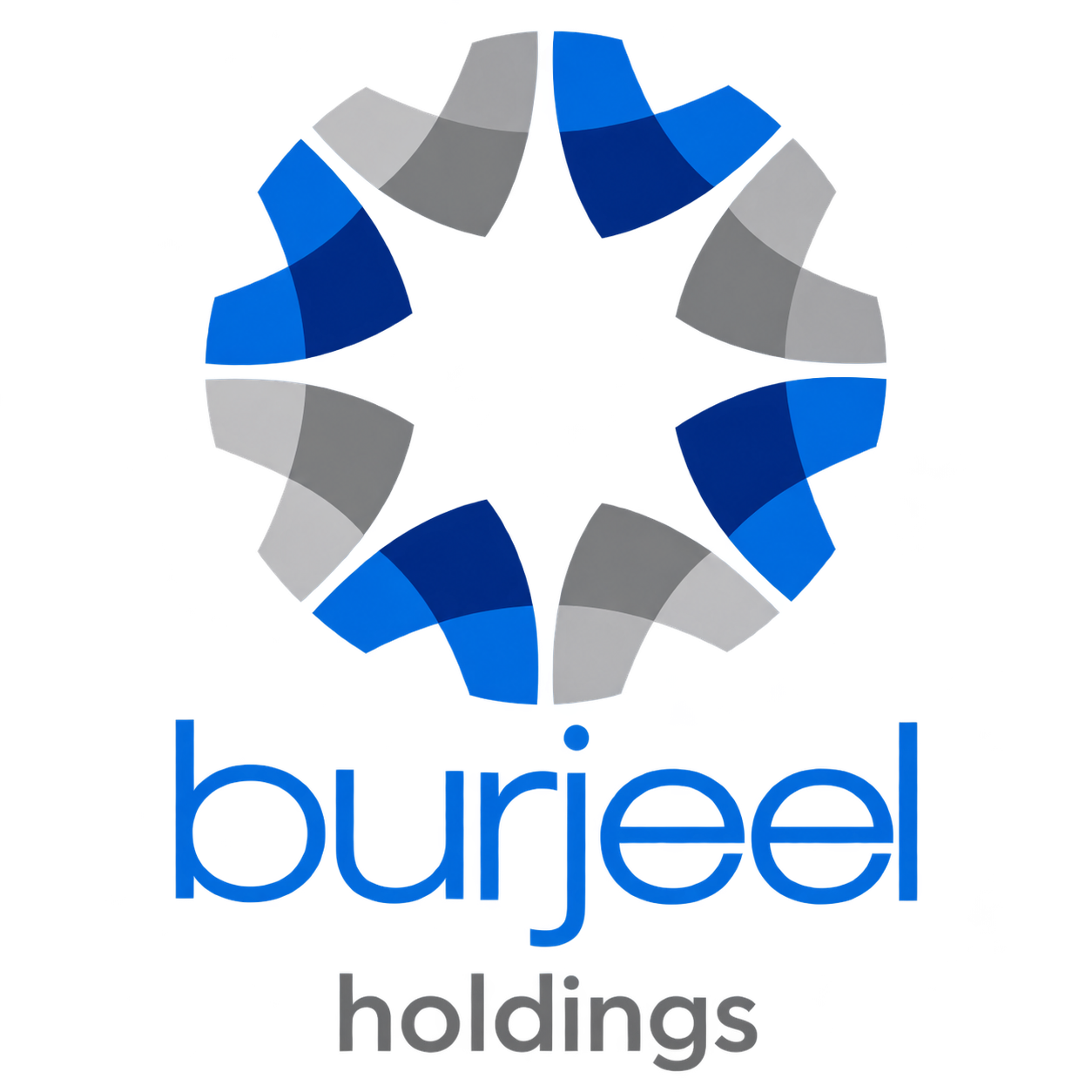 Burjeel Holdings